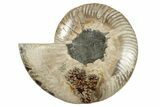 Cut & Polished Ammonite Fossil (Half) - Madagascar #200107-1